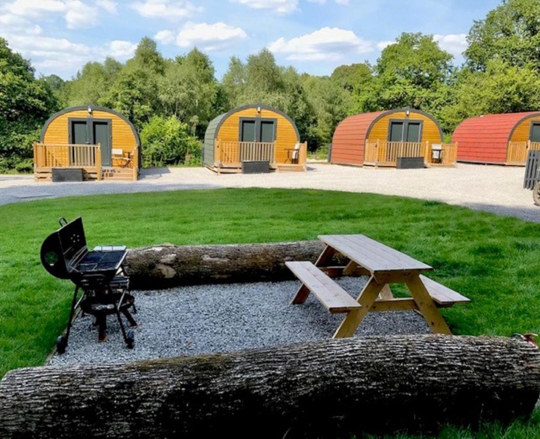 Forest Pod 4 Pet Friendly Villa Neath Exterior foto